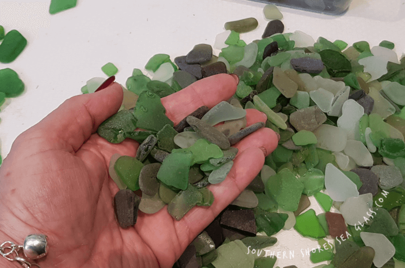 sorting sea glass for the Christmas Holly card